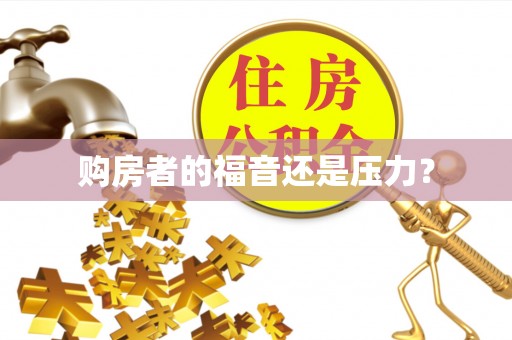 鹤岗购房者的福音还是压力？