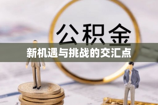 鹤岗新机遇与挑战的交汇点
