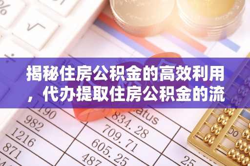 鹤岗揭秘住房公积金的高效利用，代办提取住房公积金的流程与技巧