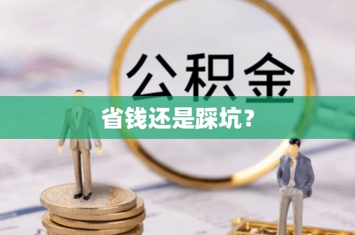 鹤岗省钱还是踩坑？