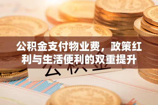 鹤岗公积金支付物业费，政策红利与生活便利的双重提升