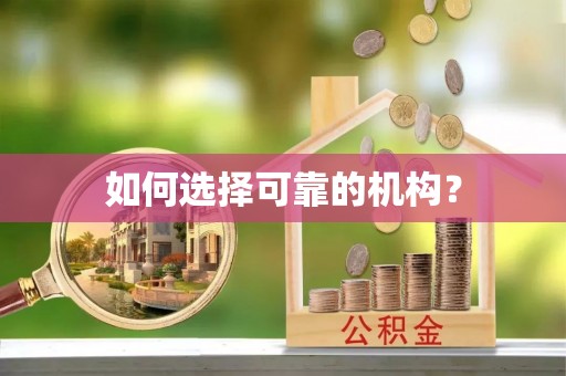 鹤岗如何选择可靠的机构？