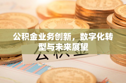 鹤岗公积金业务创新，数字化转型与未来展望