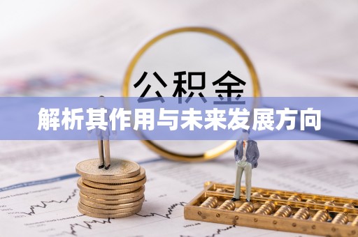鹤岗解析其作用与未来发展方向