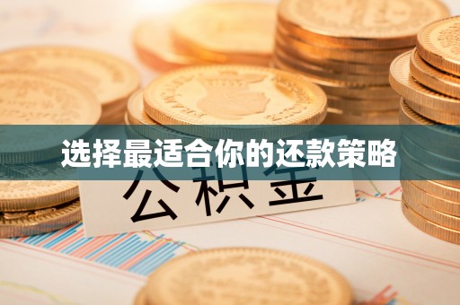 鹤岗选择最适合你的还款策略
