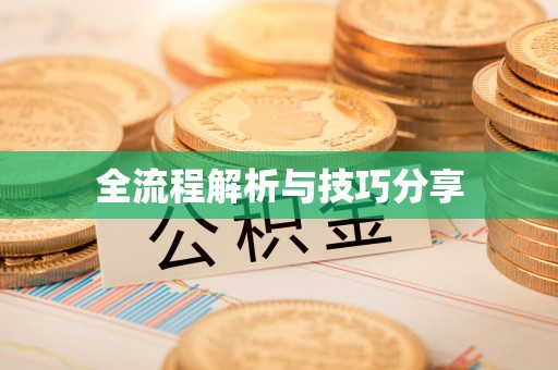 鹤岗全流程解析与技巧分享